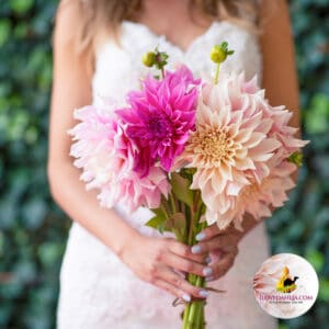 Bridal Mix dahlien wedding bouquet