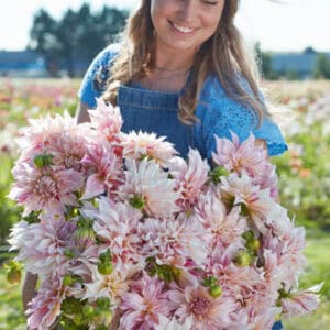 Dahlia Cafe au Lait Twist