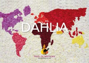 Dahlia Catalogue 2025/2026